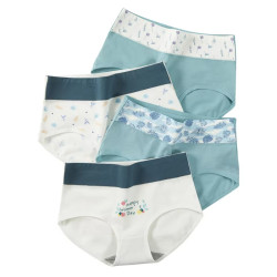 KK084 ملابس داخلية نسائية قطنية بدون خياطة مقاس كبير خصر عالٍ بتصميم بناتي مطبوع لطيف