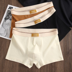 Hot Cotton Men's Boxers Comfortable Breathable Mid-waist Man Underwear Plus Size Men's Boxer